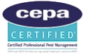 certification image