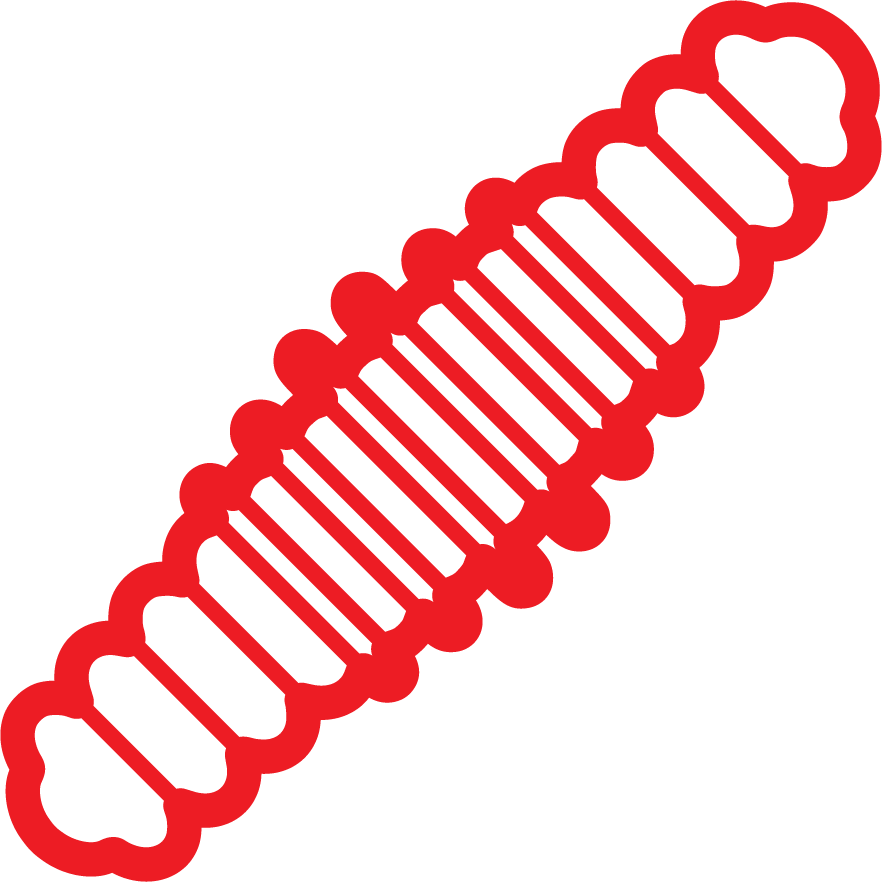 Disinfestazione processionarie